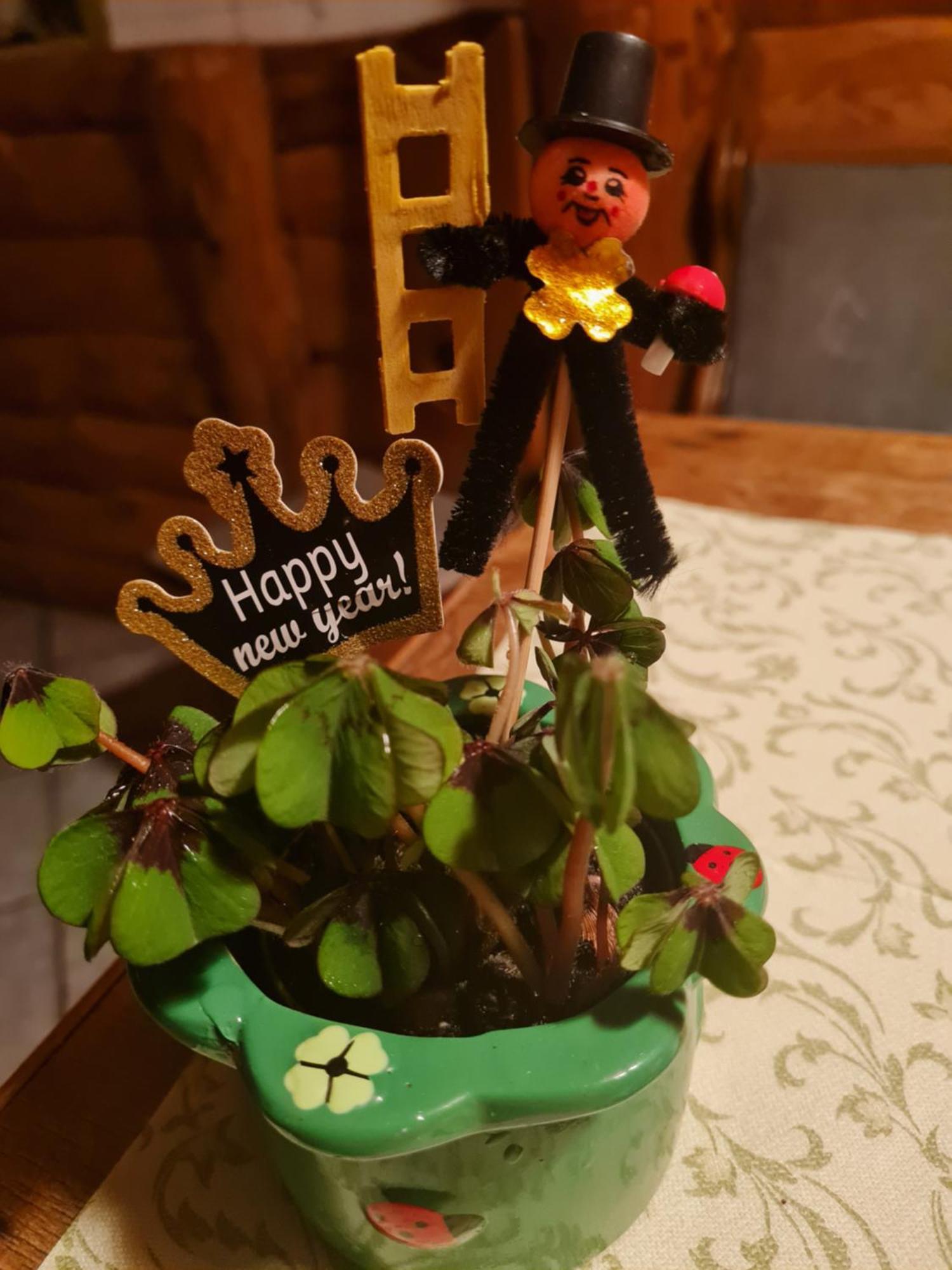 Pension Und Gaststaette Zur Knappenschaenke Thermalbad Wiesenbad Luaran gambar